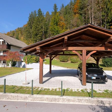 Апартаменты Savadolinka House Мойстрана Экстерьер фото