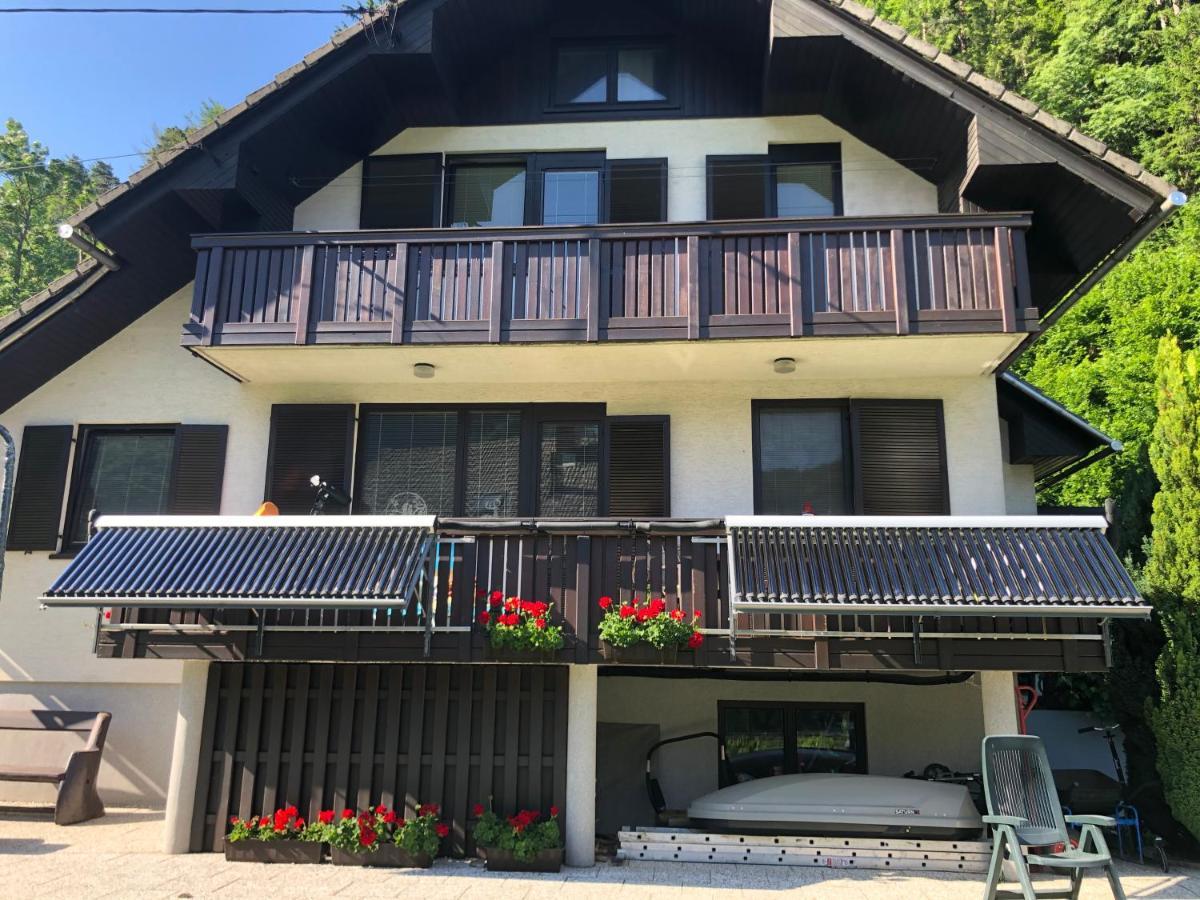 Апартаменты Savadolinka House Мойстрана Экстерьер фото